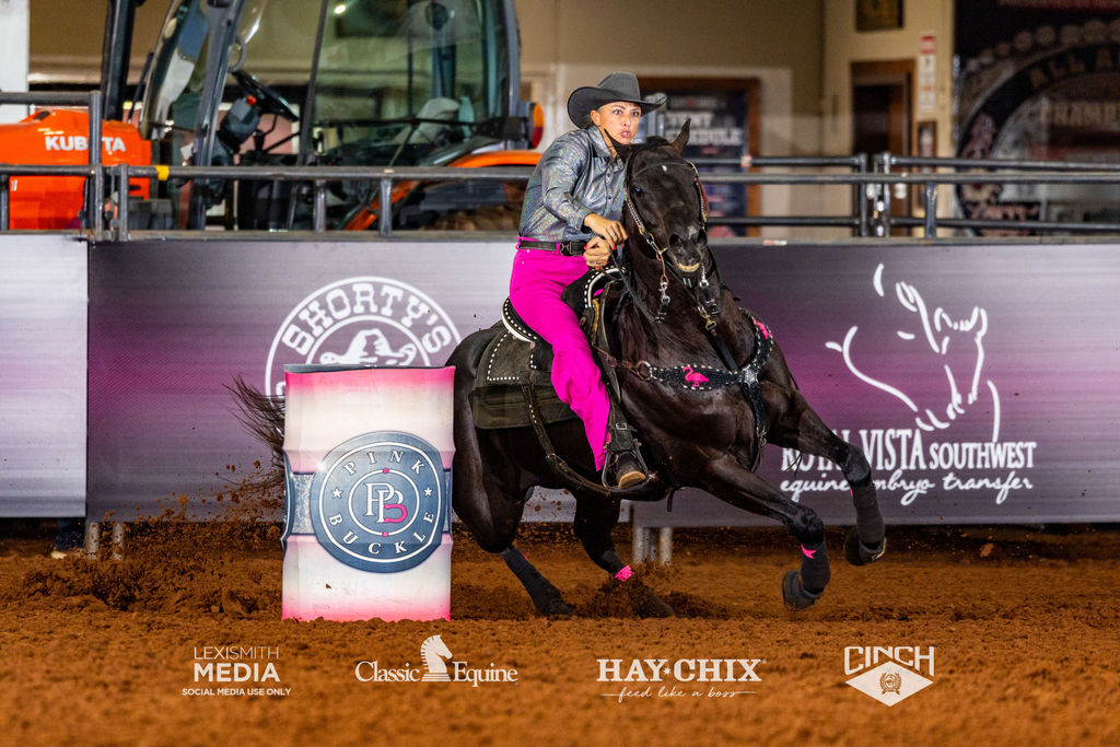 Blazin High Alibi - Pink Buckle 2025